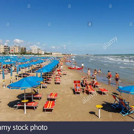 Il Gelsomino Turistico